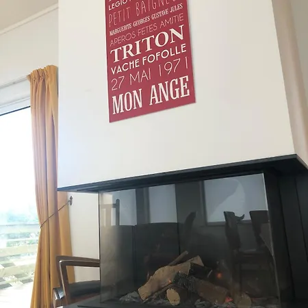 別荘 Triton - Vue - Maison Classee 3 Etoiles アンブレウーズ