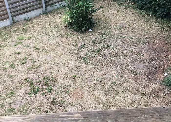 Triton - Vue - Maison Classee 3 Etoiles Vakantiehuis Ambleteuse